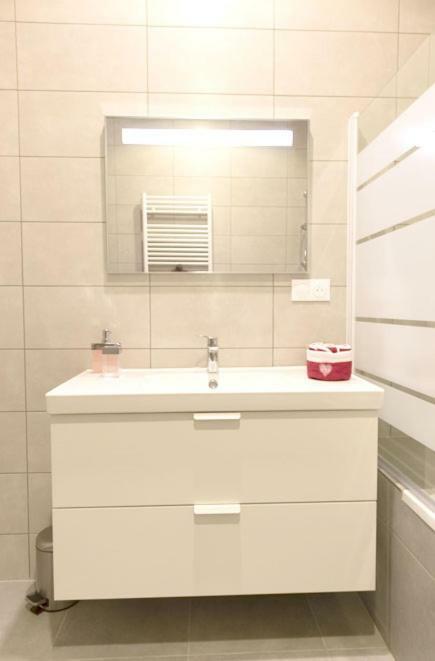 Appartement Grand Standing Vauban 10 Personnes Centre Historique De Colmar Zewnętrze zdjęcie